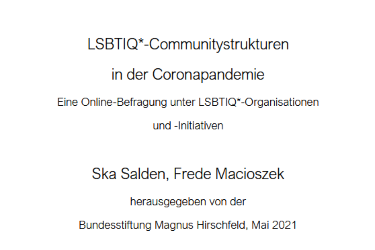Screenshot des Forschungsberichts 