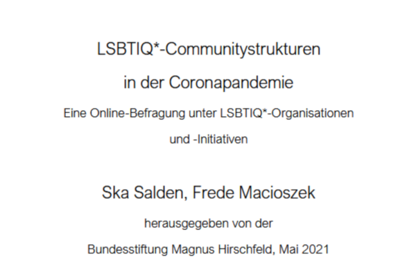 Screenshot des Forschungsberichts 